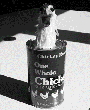 Chick Norris Animated 360 Chick Norris Animated 360